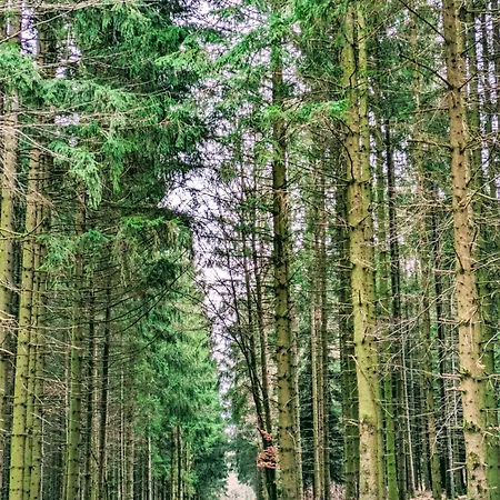 Hébergement de vacances Haus Paradiesecke Waldbrunn (Baden-Wurttemberg)